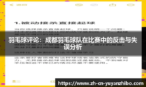 雨燕体育直播官方网站