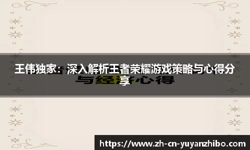 雨燕体育直播