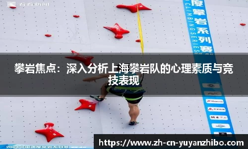 雨燕体育直播