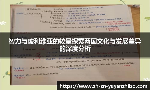 雨燕体育直播平台