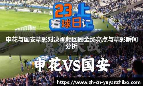 雨燕体育直播官方网站