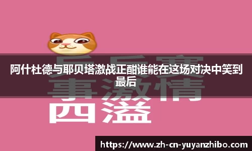 雨燕体育直播平台